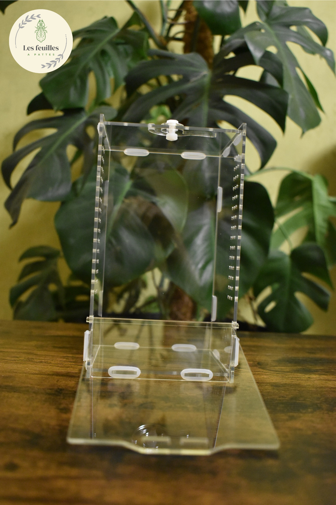 Terrarium acrylique